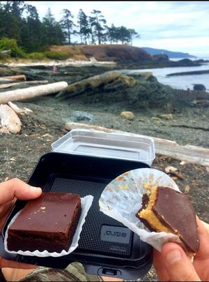 Vanilla Leaf Bakery Vegan Brownie + Vegan Peanut Butter Bar - deeeelicious! at Vanilla Leaf Bakery Café in Pender Island