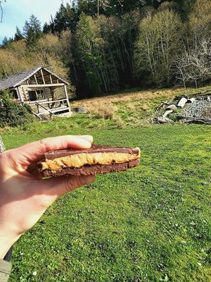 Vanilla Leaf Bakery Vegan Chocolate Peanut Butter Bar at Vanilla Leaf Bakery Café in Pender Island