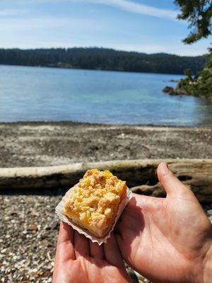 Vanilla Leaf Bakery Vegan Fruit Crumble Bar at Vanilla Leaf Bakery Café in Pender Island