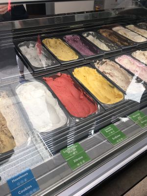 vegan flavours 2020 at Icezeit in Salzburg