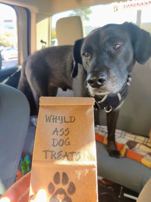 Dog treats! at Whyld Ass in Phoenix