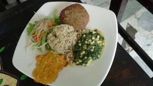 Lunch of the day, October 2018 at Mahavan in Armenia