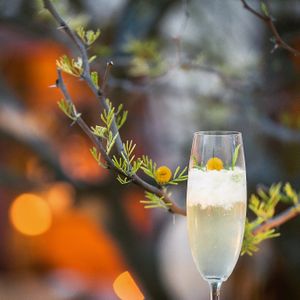 Refreshing Infused Cocktails at Karma in Santorini