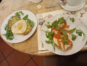 Avocado toast with tofu egg and sea toast for brunch at Estravagario in Bologna