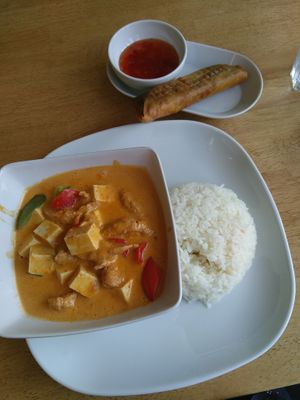 Panang curry and veggie spring roll at VG Wok in Helsinki