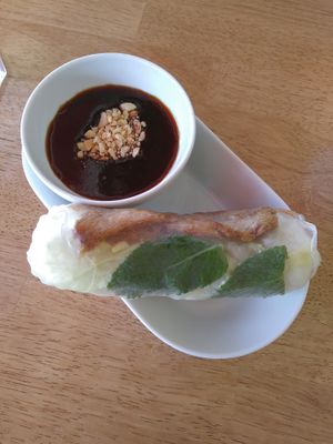 Rice paper roll with hoisin dipping sauce at VG Wok in Helsinki