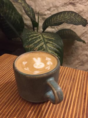 Café  at Ecos del Mundo in Mexico City