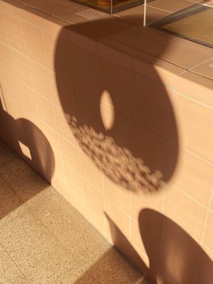  at Seed of Happiness in Nicosia