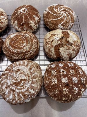  at Seed of Happiness in Nicosia