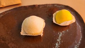 Mochi at Seed of Happiness in Nicosia