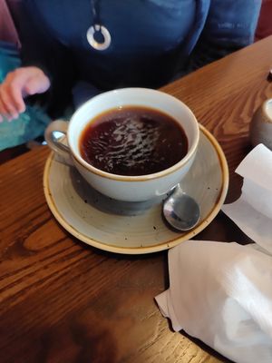  at Fron Goch Garden Centre in Caernarfon