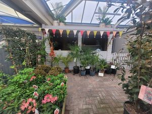 Ice Cream Hut at Fron Goch Garden Centre in Caernarfon