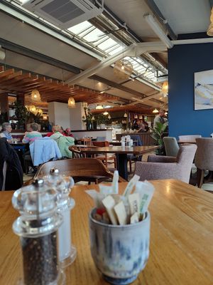  at Fron Goch Garden Centre in Caernarfon