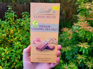 Vegan Lindt Bars Sold in the Shop (Caramel Sea Salt). at Fron Goch Garden Centre in Caernarfon