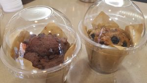 Vegan chocolate and blueberry muffins! at Il Cappuccino in Toledo