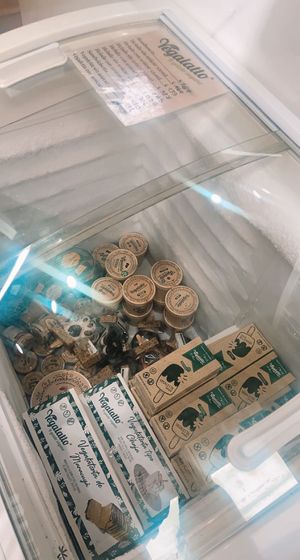 all vegan gelato  at La Molienda in Montevideo