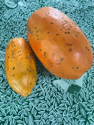  at Sabaidee Cafe in Okinawa