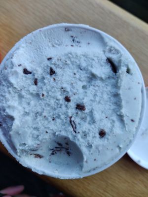 Freckled Mint Chocolate Chip at Salt & Straw in San Francisco