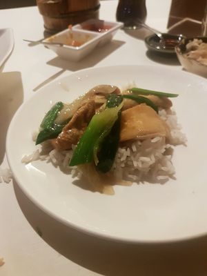 Ginger tofu with rice at Zen Buddha in North West London