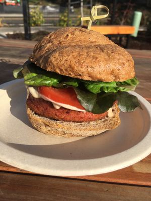 Beyond Burger with cashew cheese sauce, lettuce, tomato, and toasted bun.  at The Peaceful Palate in Eugene