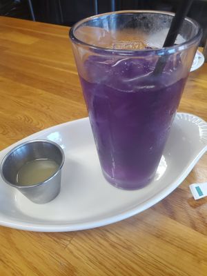 Butterfly Tea at Brunch in Conshohocken