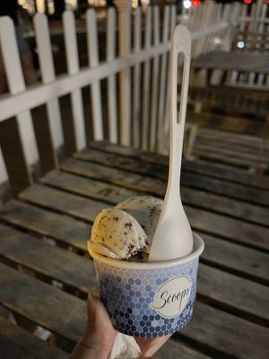 mint chocolate chip   at Scoops in La Jolla