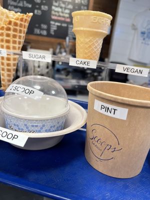 vegan cones!   at Scoops in La Jolla