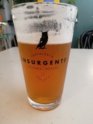 Mexican beer at Amazonia Cocktails and Kitchen in Copenhagen