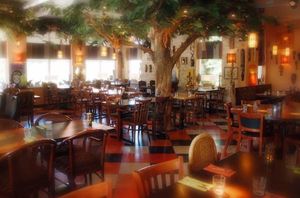 Restaurant Aap at Restaurant Aap in Alphen