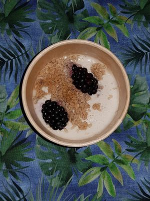 Take-away: Lime & coconut panna cotta with grated coconut and palmsugar base and bramble 🤩 at Bonboon in Amsterdam