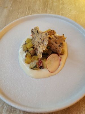 Starter

Puffed yellow beetroot with burnt chili, shallot, and pumpkin seed vinaigrette –
fermented quinoa cream – quinoa cracker – lemon thyme – radish. at Bonboon in Amsterdam