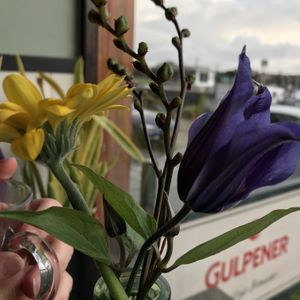 Nice view at Bonboon in Amsterdam