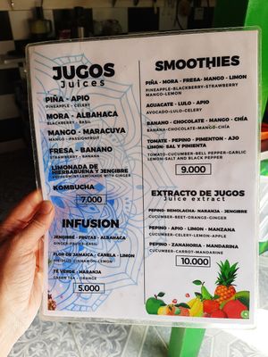 Menu at Namaste Vegan Food in Guatape