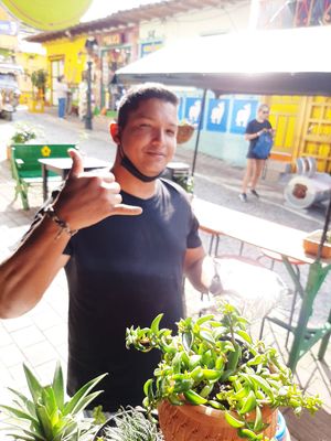 Owner at Namaste Vegan Food in Guatape