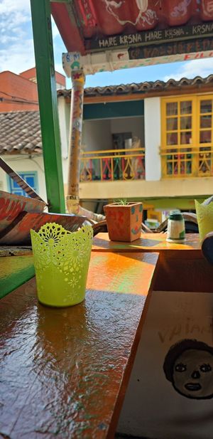  at Namaste Vegan Food in Guatape