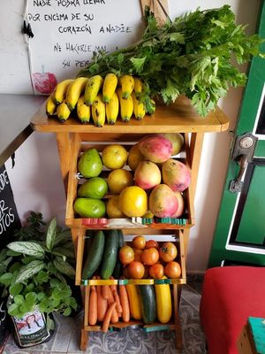 Vegano at Namaste Vegan Food in Guatape