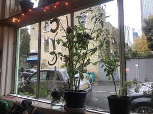 Recycle  at Bonnington Cafe in South West London