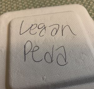 Vegan dessert! at Himal Chuli in Madison