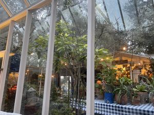   at Asma Yapragi in Alacati