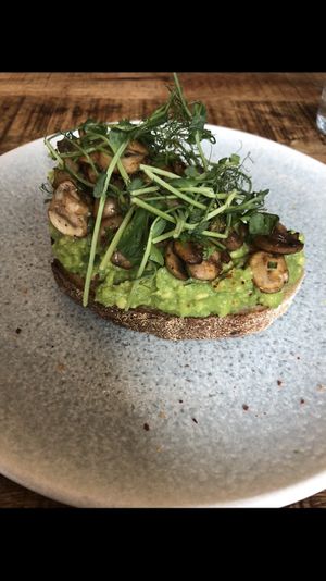 avocado toast with mushrooms  at The Urban Garden in Vilnius
