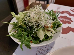 Salad that comes with the menu of the day at Vegehop in Zagreb