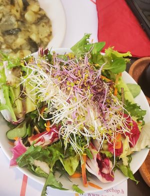 Salad at Vegehop in Zagreb