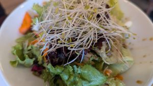 Side salad at Vegehop in Zagreb