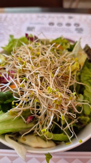  at Vegehop in Zagreb