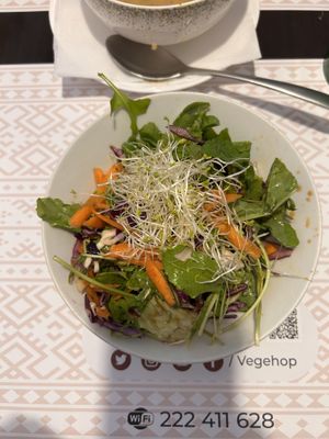 Salad (daily menue)  at Vegehop in Zagreb
