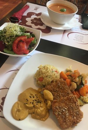 Daily lunch: gazpacho, breaded tofu with steamed vegetables, risotto, avocado and lime sauce, salad at Vegehop in Zagreb