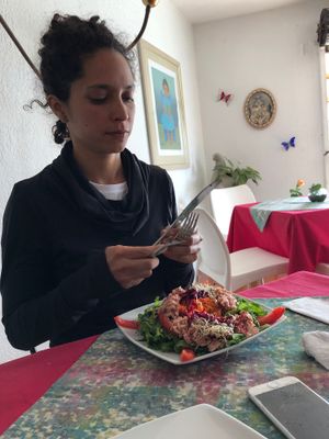 Doctors love this place at Papillon in Cuernavaca