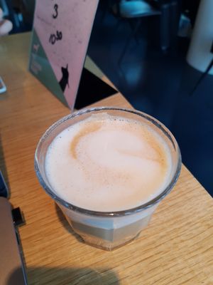 Capuccino with oat milk at Café Het Gegeven Paard in Utrecht