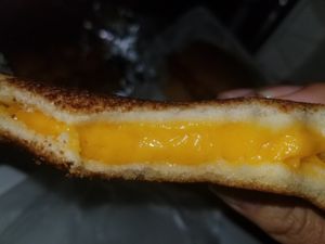 Best Grilled cheese I've had in years! at Pappy's Juice Bar in Hawthorne