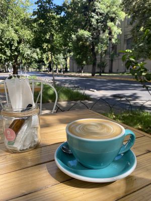  #Veganuary at Cafe del Forestal in Santiago